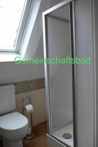 a bathroom with a toilet and a glass shower stall at Pension Jeske Heidelberg in Heidelberg