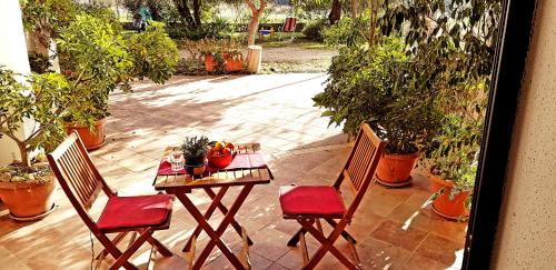 a table and two chairs with plants on a patio at Le Caracol - Appartamenti immersi nel verde della campagna e a 1 chilometro da Orosei in Orosei