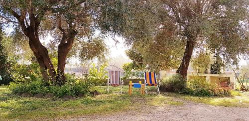 two chairs sitting in a yard under a tree at Le Caracol - Appartamenti immersi nel verde della campagna e a 1 chilometro da Orosei in Orosei