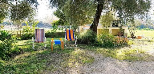 two chairs and a table in a yard with a tree at Le Caracol - Appartamenti immersi nel verde della campagna e a 1 chilometro da Orosei in Orosei