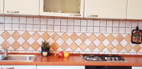 a kitchen counter with a sink and a stove at Le Caracol - Appartamenti immersi nel verde della campagna e a 1 chilometro da Orosei in Orosei
