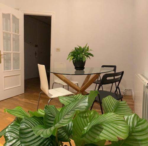 une salle à manger avec une table et une plante en pot dans l'établissement Habitación privada en Bilbao Centro, à Bilbao