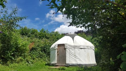 a yurt with a wooden door in a field at South Downs Eco Lodge & Camping in East Meon