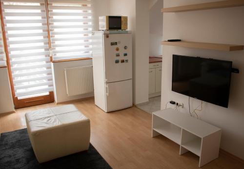 TV a/nebo společenská místnost v ubytování Csalogány Apartman