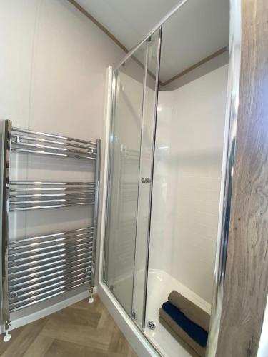 a shower in a bathroom with a glass door at Daphne's Lodge in Mawgan Porth