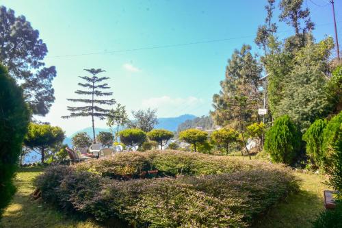 a garden with bushes and trees on a field at Hotel Goludev Valley View in Nainital