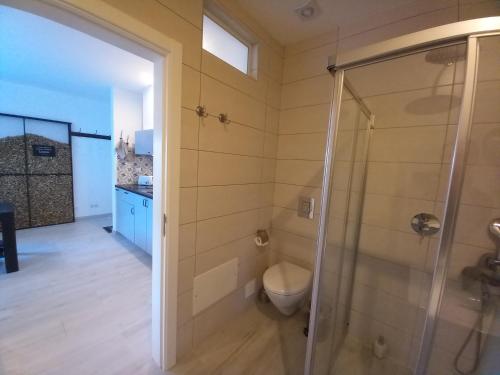 a bathroom with a shower and a toilet at Lopes Apartment - Belch1952 in Lagos