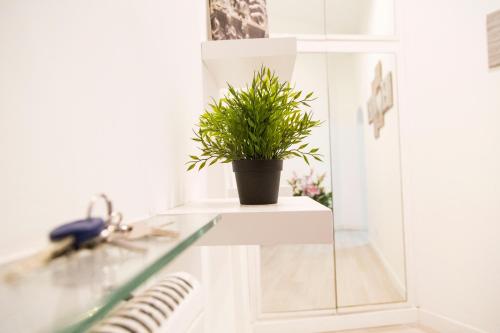 New apartment in the heart of Trastevere