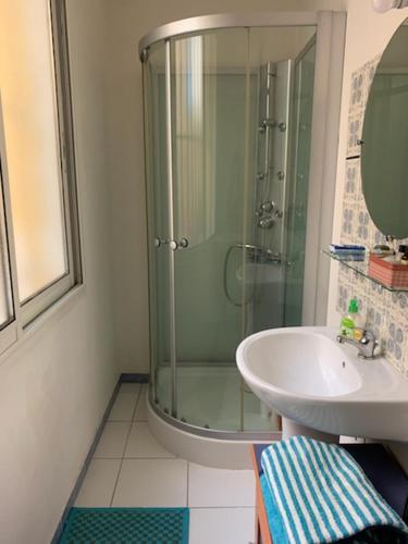 een badkamer met een glazen douche en een wastafel bij Rez-de-chaussée Majorque centre de Perpignan in Perpignan