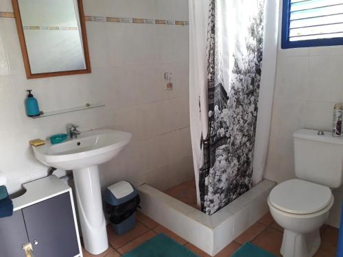 a bathroom with a sink and a toilet and a shower at Idéal pour séjour professionnel ou touristique in Baie-Mahault