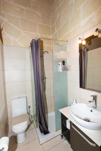a bathroom with a toilet and a sink and a shower at Maria Townhouse Heart of Victoria B&B in Victoria