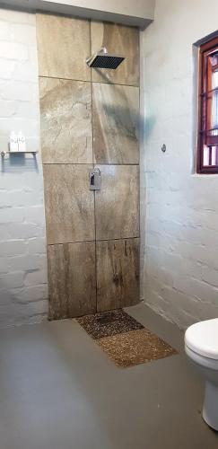 Un baño con ducha y WC. en Hemel en Aarde Village Accommodation, en Hermanus