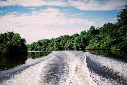 a river with rapids in the middle at Geo Palace Kolkheti National Park in Poti