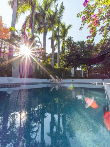 a swimming pool with palm trees in the background at Palma Real Posada in Puerto Iguazú