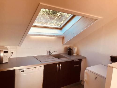 a kitchen with a sink and a window at Villa Marmillons in Aix-les-Bains