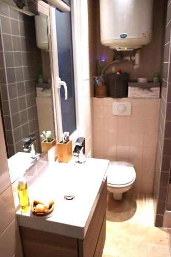 une salle de bain avec un lavabo, des toilettes et un miroir dans l'établissement Superbe T3 Terrasse Coeur de Paris historique, à Paris