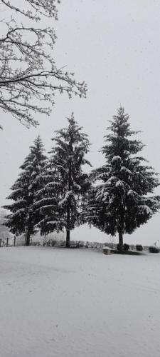 three trees in a field covered in snow at Masseria boutique b&b in Montella