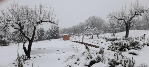 a snow covered field with trees and a smallshed at Masseria boutique b&b in Montella