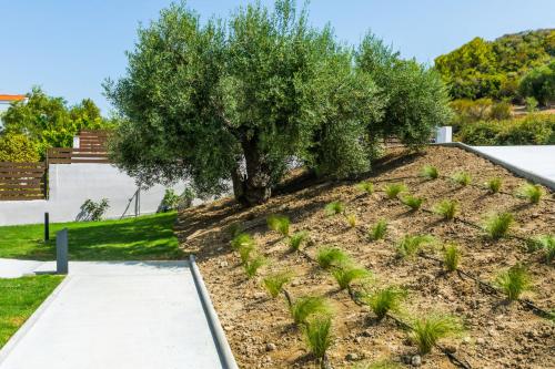 a tree in a garden with a sidewalk at Dionisos Luxury Villas in Pefkohori