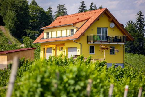 Ferienwohnung Weingut Birnstingl