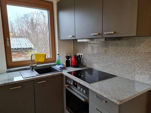 une cuisine avec un évier, une cuisinière et une fenêtre dans l'établissement Cityappartement am Goethepark, à Weimar