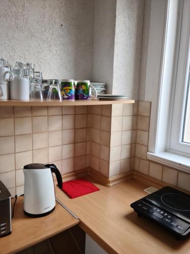 a kitchen counter with a toaster on a counter top at Pension Kreihe im Harz in Bad Lauterberg