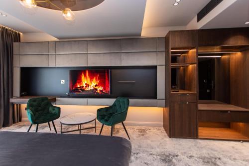 a room with a fireplace and two chairs and a bed at Vila Avy in Haţeg