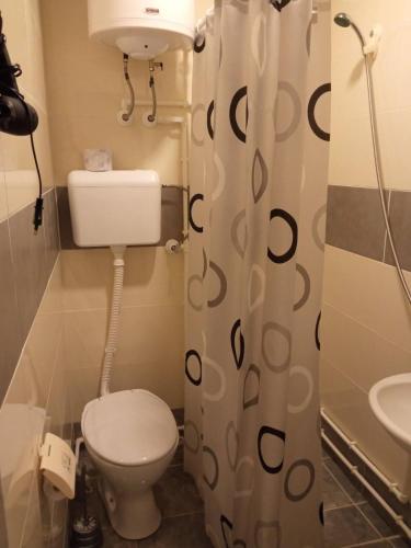 a small bathroom with a toilet and a sink at Kuća Talija in Kalna
