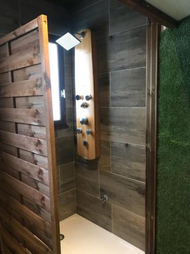 a bathroom with a shower with a wooden door at Le 21 TER in Amiens