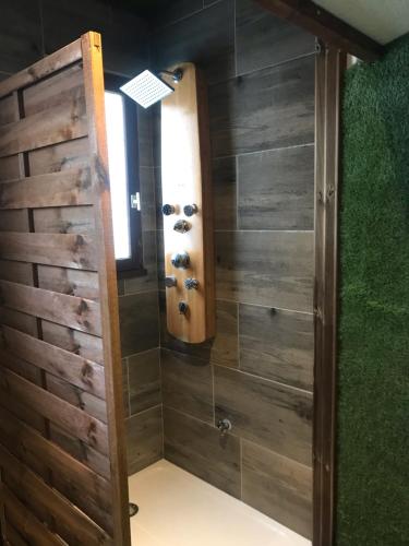Le 21 TER SPA option – Photos 3