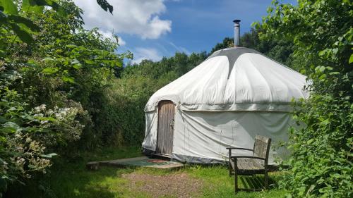 a yurt with a chair in the middle of a field at South Downs Eco Lodge & Camping in East Meon