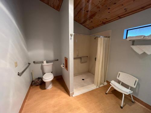 a bathroom with a toilet and a walk in shower at Whispering Pines Lodge in Kernville