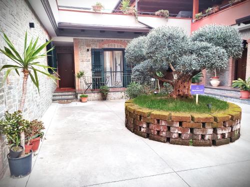 Ein Garten an der Unterkunft Midway House Italy