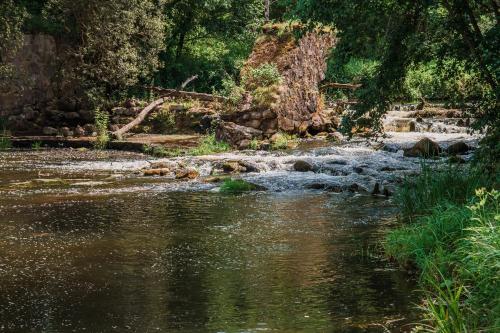 a stream of water with rocks in the middle at Taparynė in Alanta
