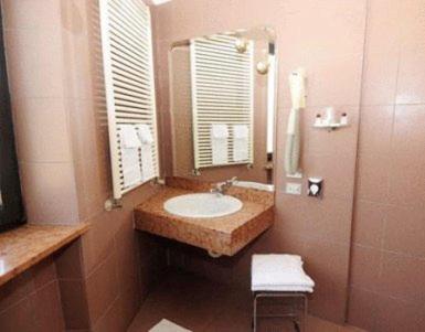 a bathroom with a sink and a mirror at Hotel Borghetti in Verona