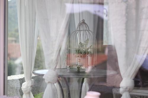 a bird cage with a plant sitting on a table in a window at BGItalianVacation - Ville Li Conchi in Castiadas