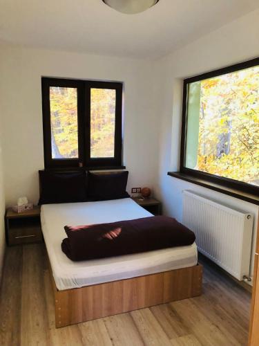 a bed in a room with two windows at Casa Tivoli in Sovata