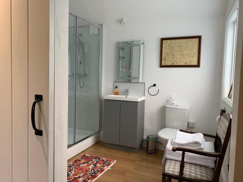 a bathroom with a shower and a sink and a toilet at One bedroom lodge in the countryside in Congleton