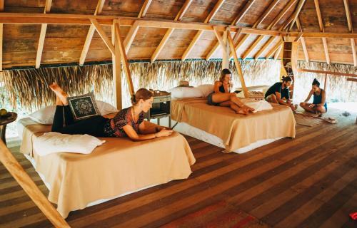 Gallery image of The Jungle Lodge at Kalu Yala in Panama City