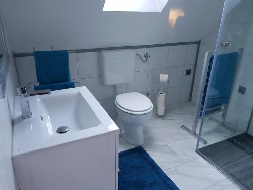 a white bathroom with a toilet and a sink at Szöcske Guesthouse In the Danube Bend near Budapest in Szentendre