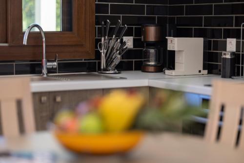 a kitchen counter with a bowl of fruit on a counter at Desa Green Homes in Ancient Epidavros