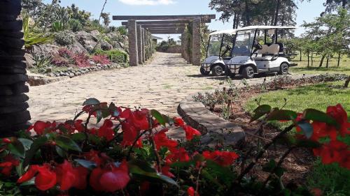 a golf cart driving down a dirt road with red flowers at Gondar Hills Resort in Gonder