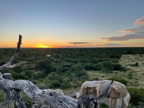 zachód słońca na szczycie wzgórza z drzewem w obiekcie Ngangane Lodge & Reserve w mieście Francistown