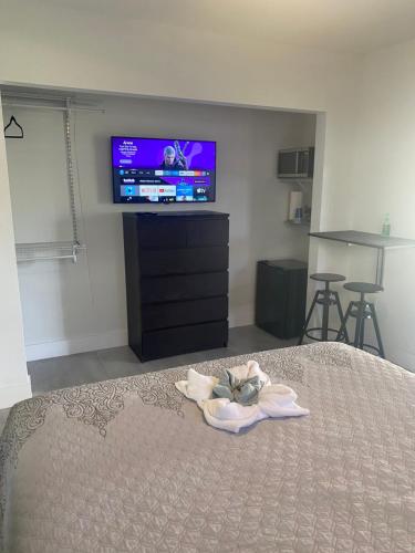 um quarto com uma cama e uma televisão de ecrã plano em LYZ Miami em Miami