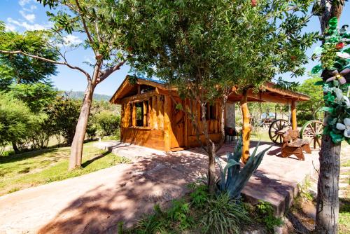 a small wooden cabin in a field with a tree at Complejo Flores Azules in Olta