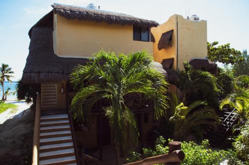 a house on the beach with a thatch roof at Hotel Luna De Plata in Mahahual