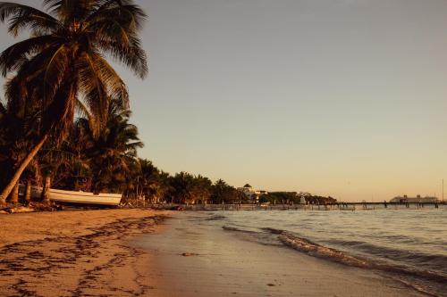a beach with palm trees and a boat in the water at Hotel Luna De Plata in Mahahual