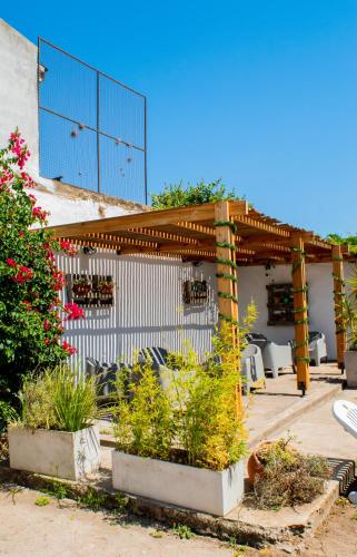 eine Terrasse mit einer Pergola und einigen Pflanzen in der Unterkunft Doña Margarita in Chascomús
