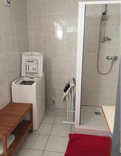 La petite salle de bains est pourvue d'une douche et d'un réfrigérateur. dans l'établissement Maison champêtre au coeur de la campagne, à Fontaines