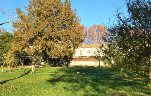 un champ avec des arbres et une maison en arrière-plan dans l'établissement Nice Apartment In Monteux With Wifi, à Monteux